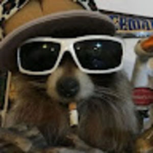 Meet your Posher, Toby